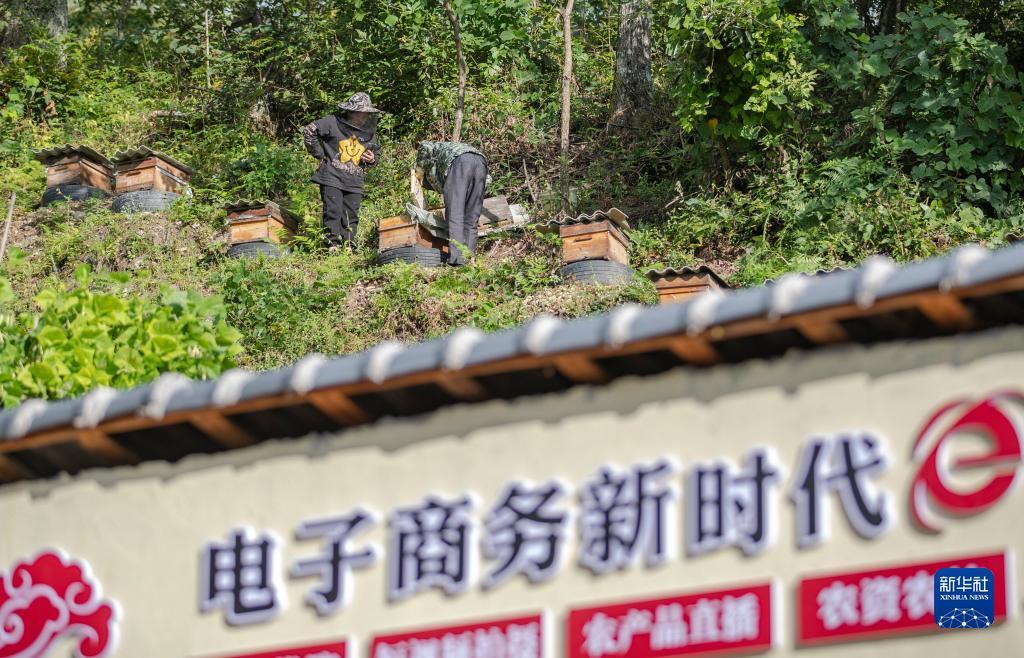 永利手游技巧